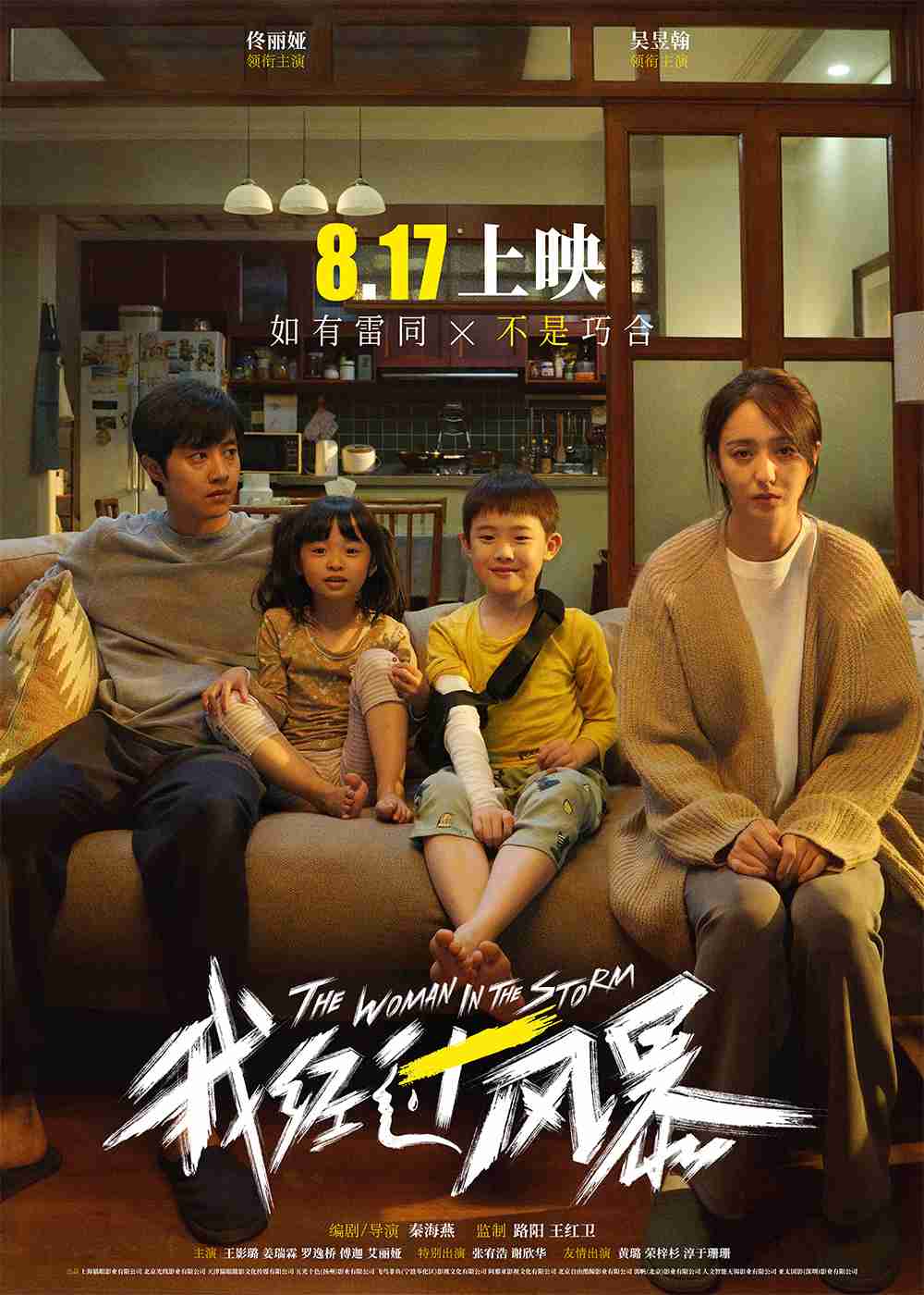 电影《我经过风暴》终极海报